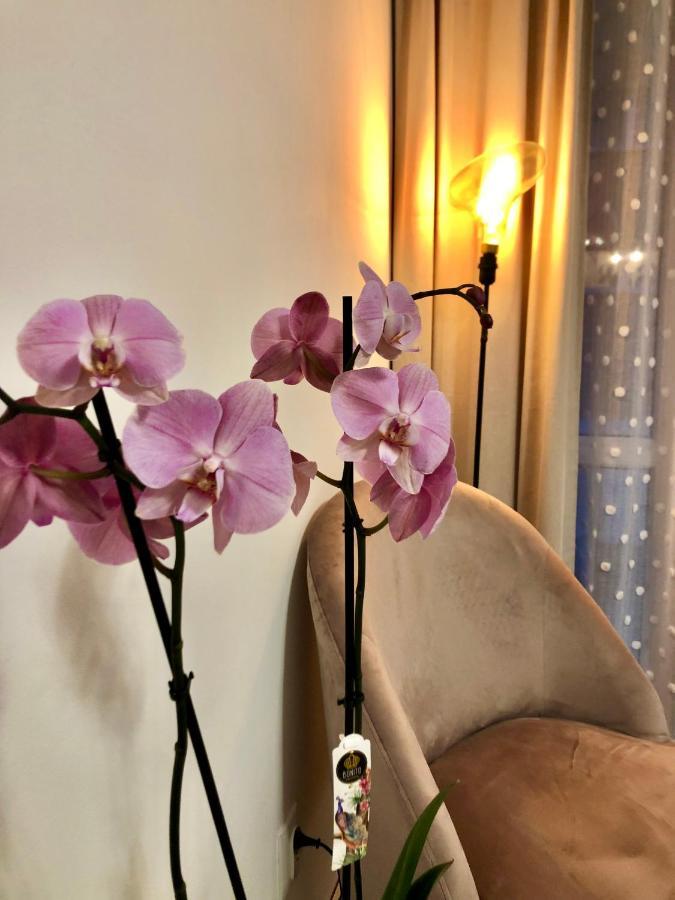 Old Town Romantic Apartment. Breslau-Wroclaw. Bagian luar foto